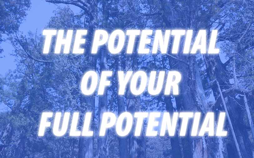 THE POTENTIAL OF YOUR FULL POTENTIAL