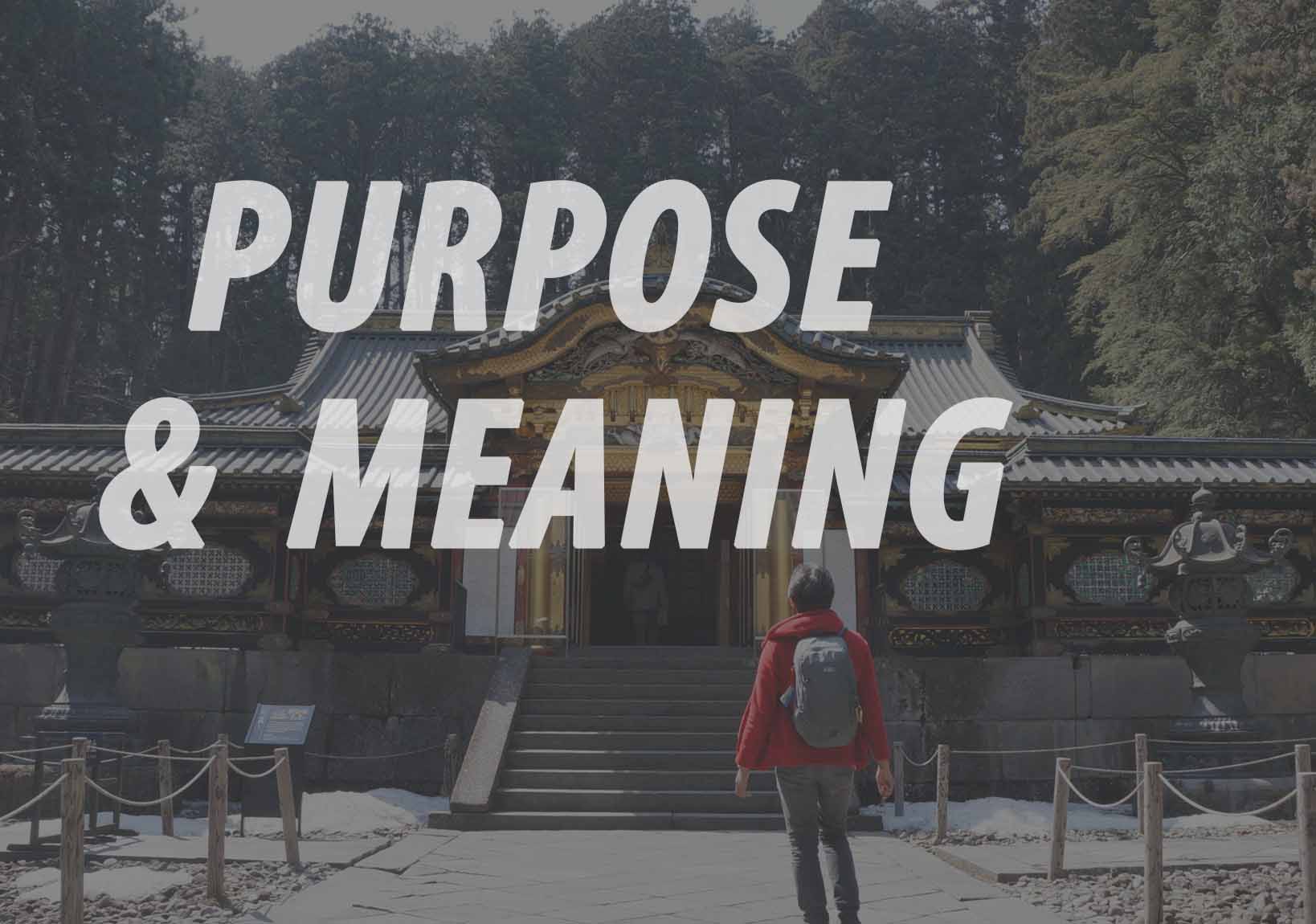 PURPOSE & MEANING