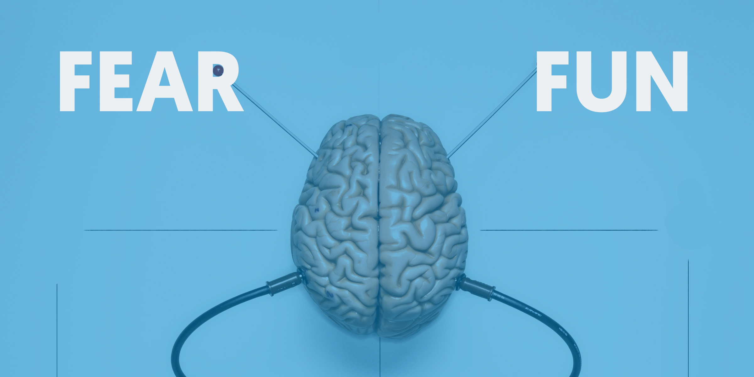 Is Your Brain Wired For Fear Or Fun?